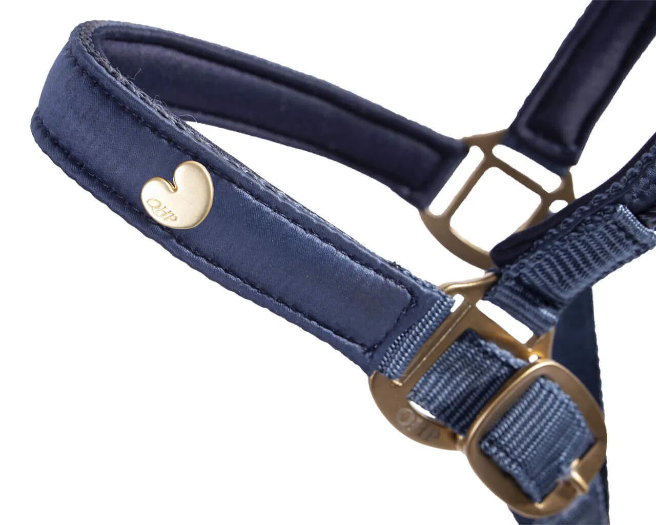 QHP Foal Headcollar Lily