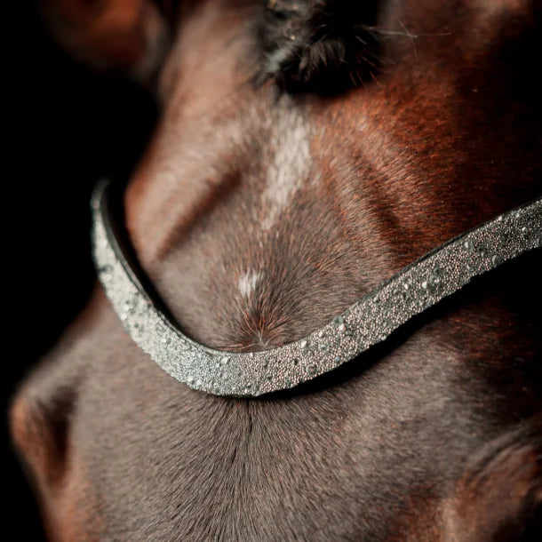 SD Design Special Edition Browband - Crystal/Black